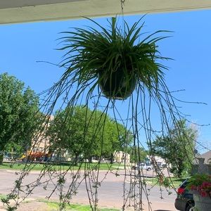 Meet your Posher, Vicki